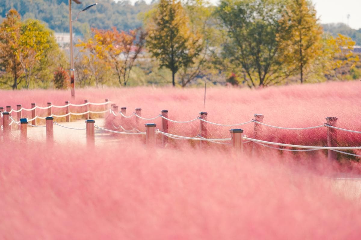 [경남 합천 여행]합천의 소소한 힐링 스폿 3곳, 여행 코스 추천