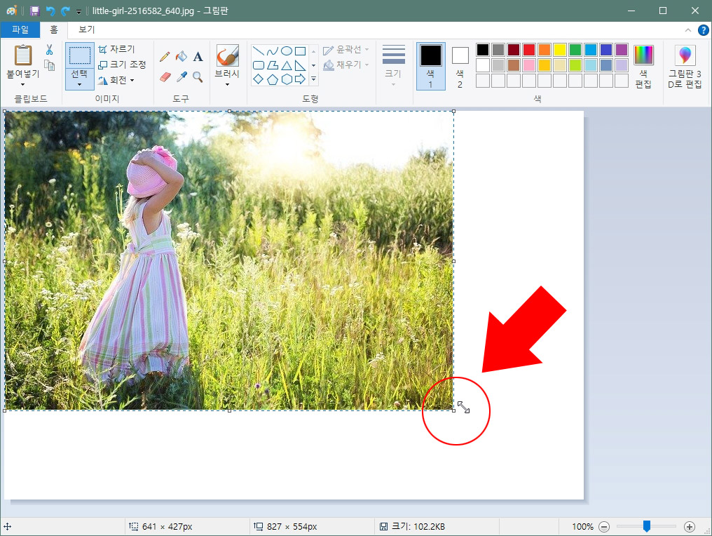 그림판 사진 줄이기