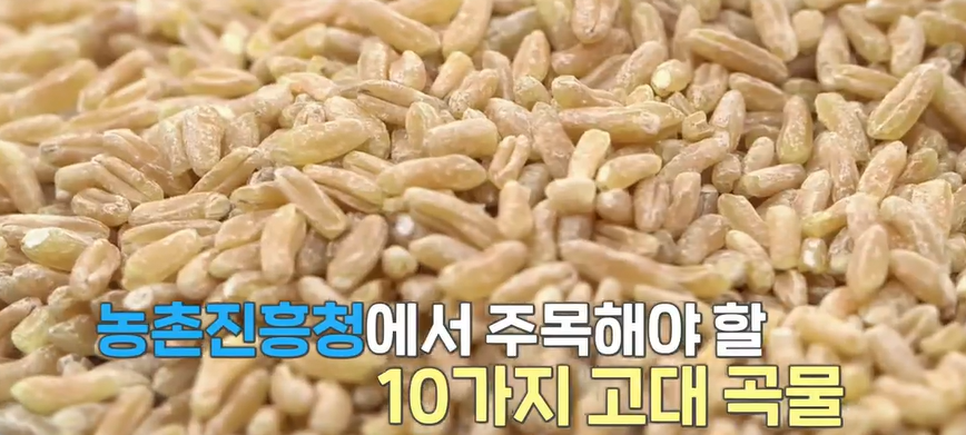 카무트효소
