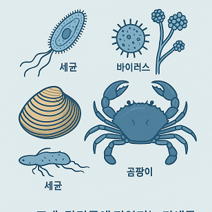 조개·갑각류에 감염되는 미생물과 감염 메커니즘 관련 사진