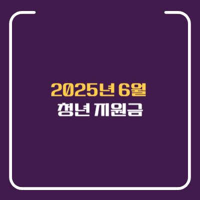 2025년 청년 지원금