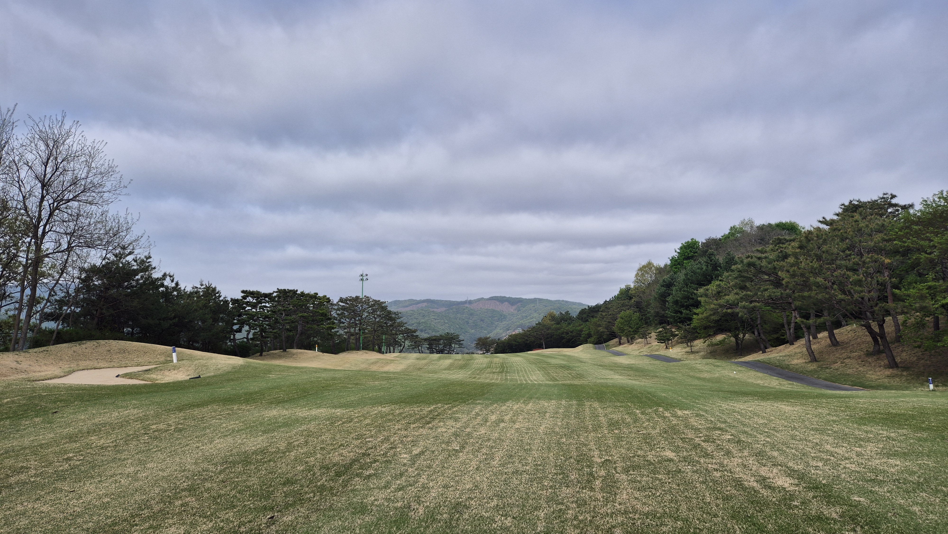 시그너스cc 코튼-라미 코스 사진 및 공략 정보