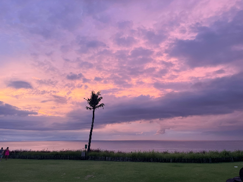허니문 발리 자유여행 코스 일정 활용 팁