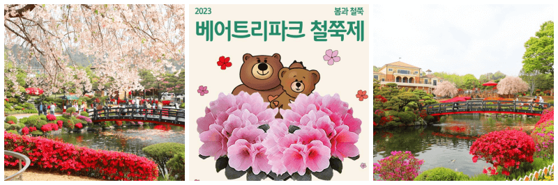 세종 베어트리파크 철쭉제 사진 3개