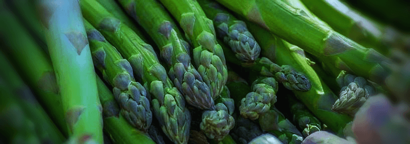 아스파라거스-사진