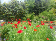 천관산 자연휴양림