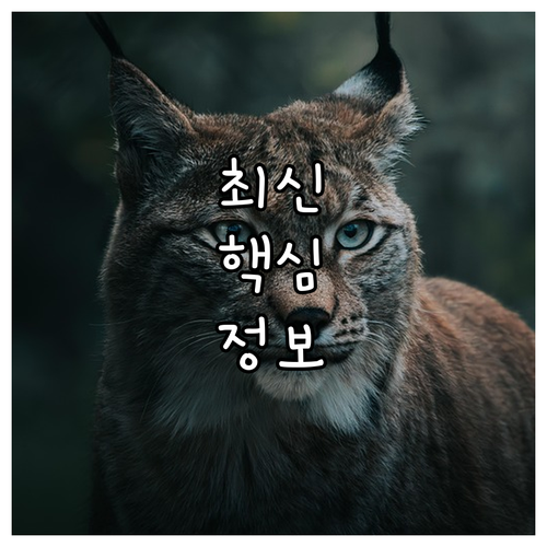 만 18세 미만 아동 가구 2025 ..