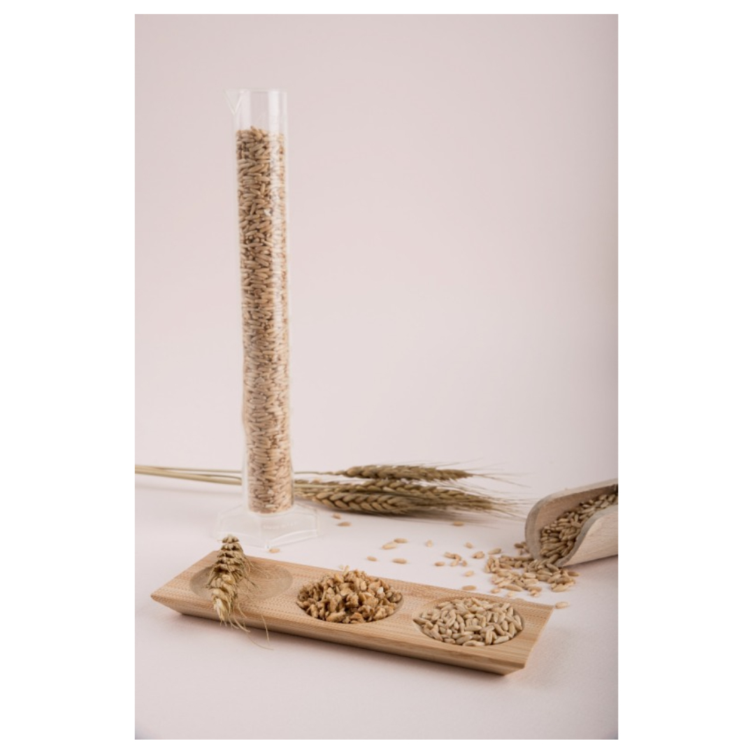 유방암과 관련된 사진입니다.