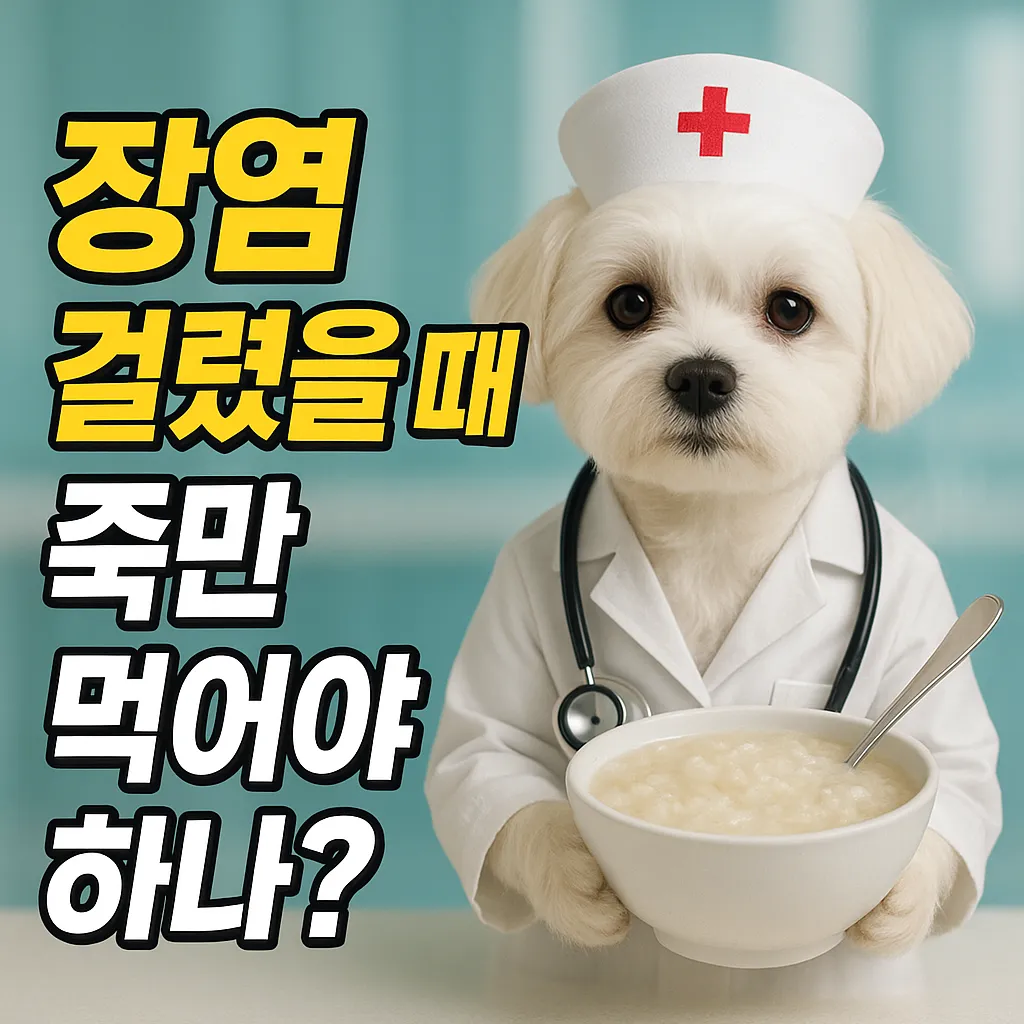 장염 걸렸을 때 죽만 먹어야 할까? 빠른 회복 식단 총정리
