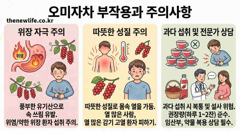 오미자차 효능 부작용