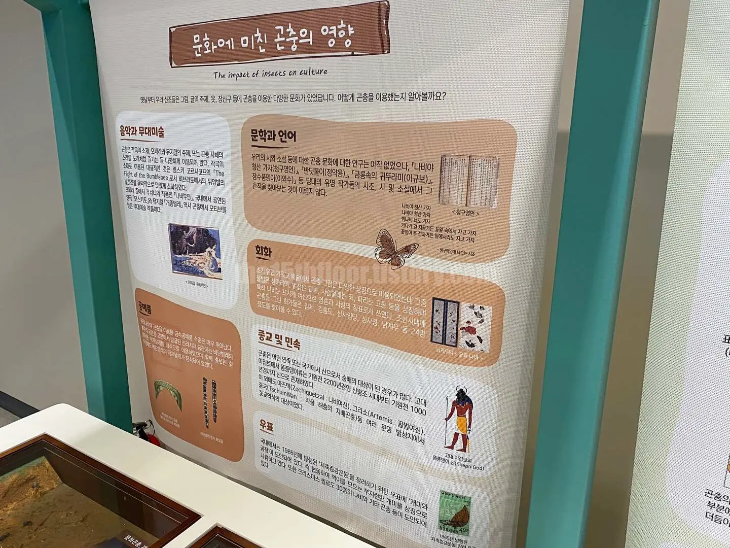 경남 의령 &amp;#39;의령 곤충생태학습관&amp;#39; (2층 &amp;#39;곤충 탐구관&amp;#39;)