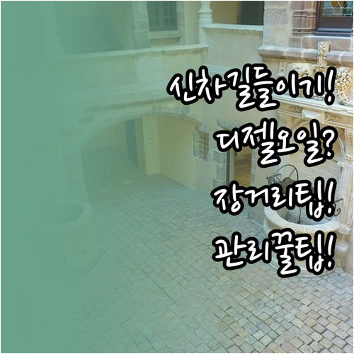 신차 길들이기부터 장거리까지 디젤 오..