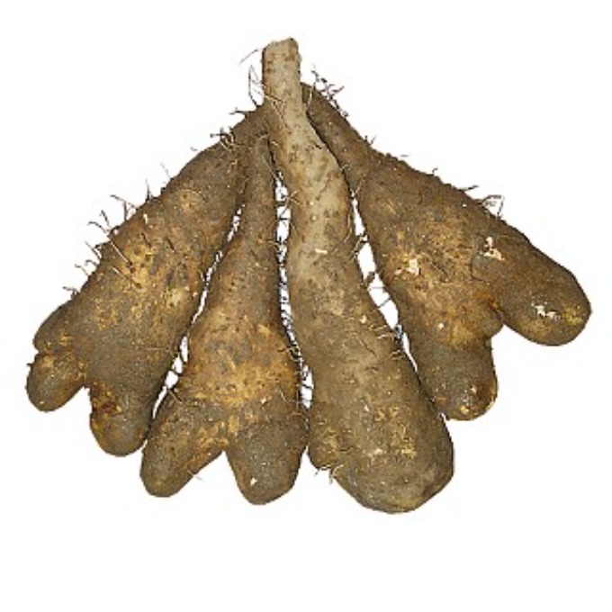 면역력 높이는 음식 - 산마