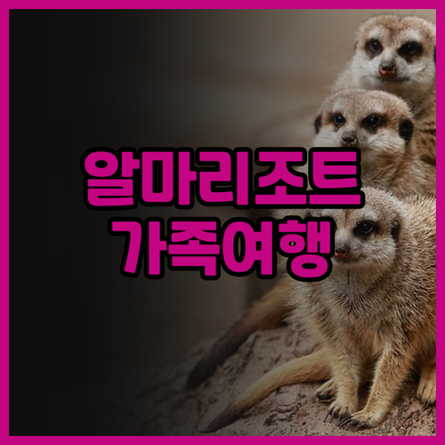 알마 리조트 캄 란! 가족여행객 필독..