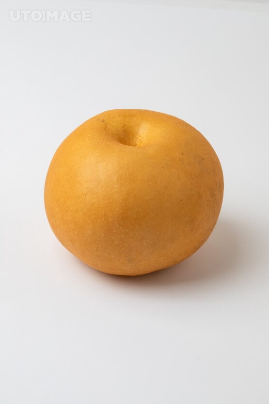 배