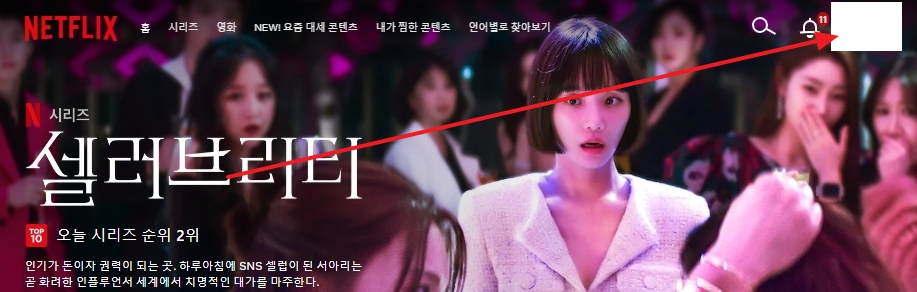 넷플릭스 고객센터 메뉴 선택 화면