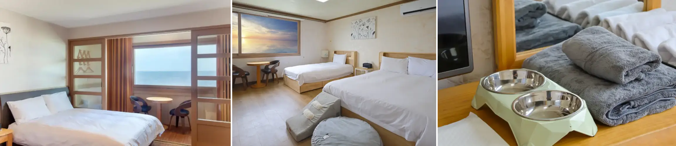 제주 시드니호텔 객실 사진