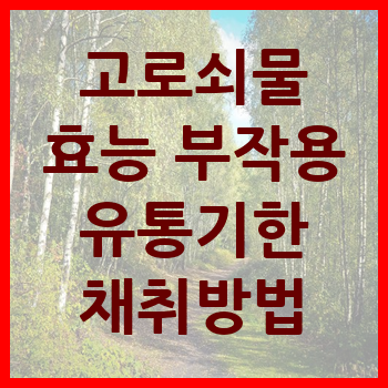 고로쇠물 효능 부작용 유통기한 먹는방법 구입방법 채취방법