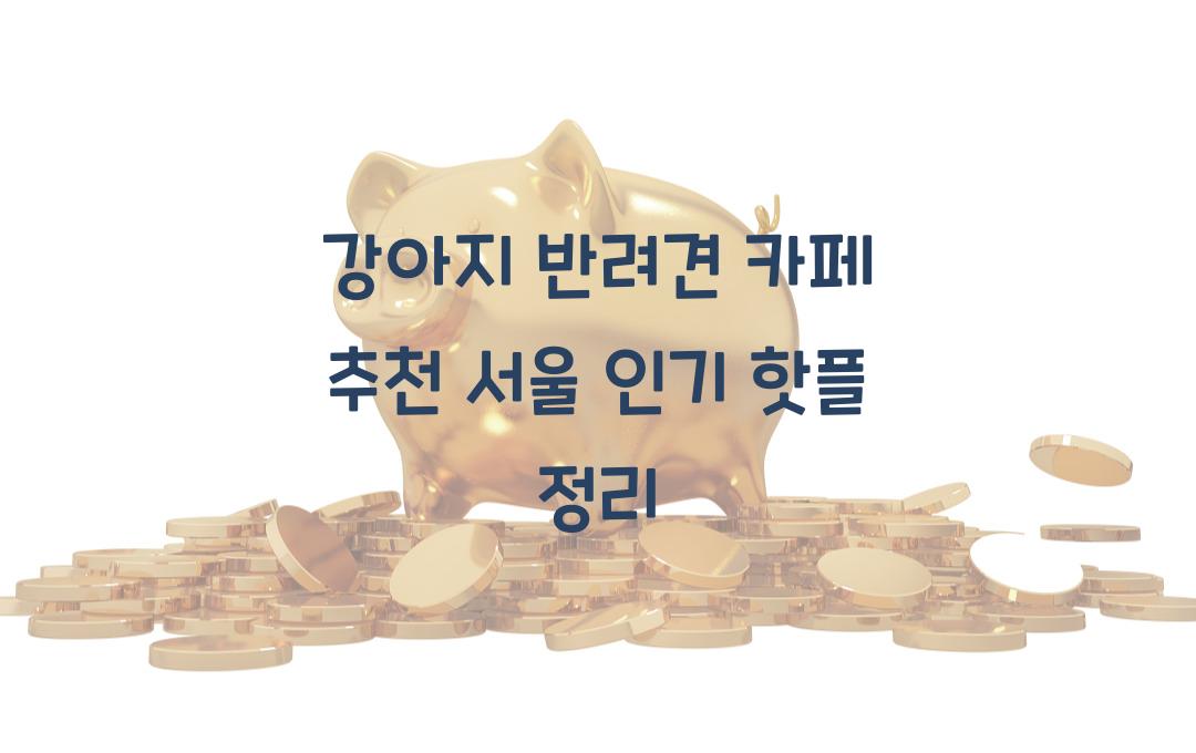 강아지 반려견 카페 추천, 서울에서 갈 만한 인기 핫플 정리