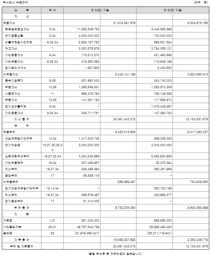 뉴로메카 제무재표 사진