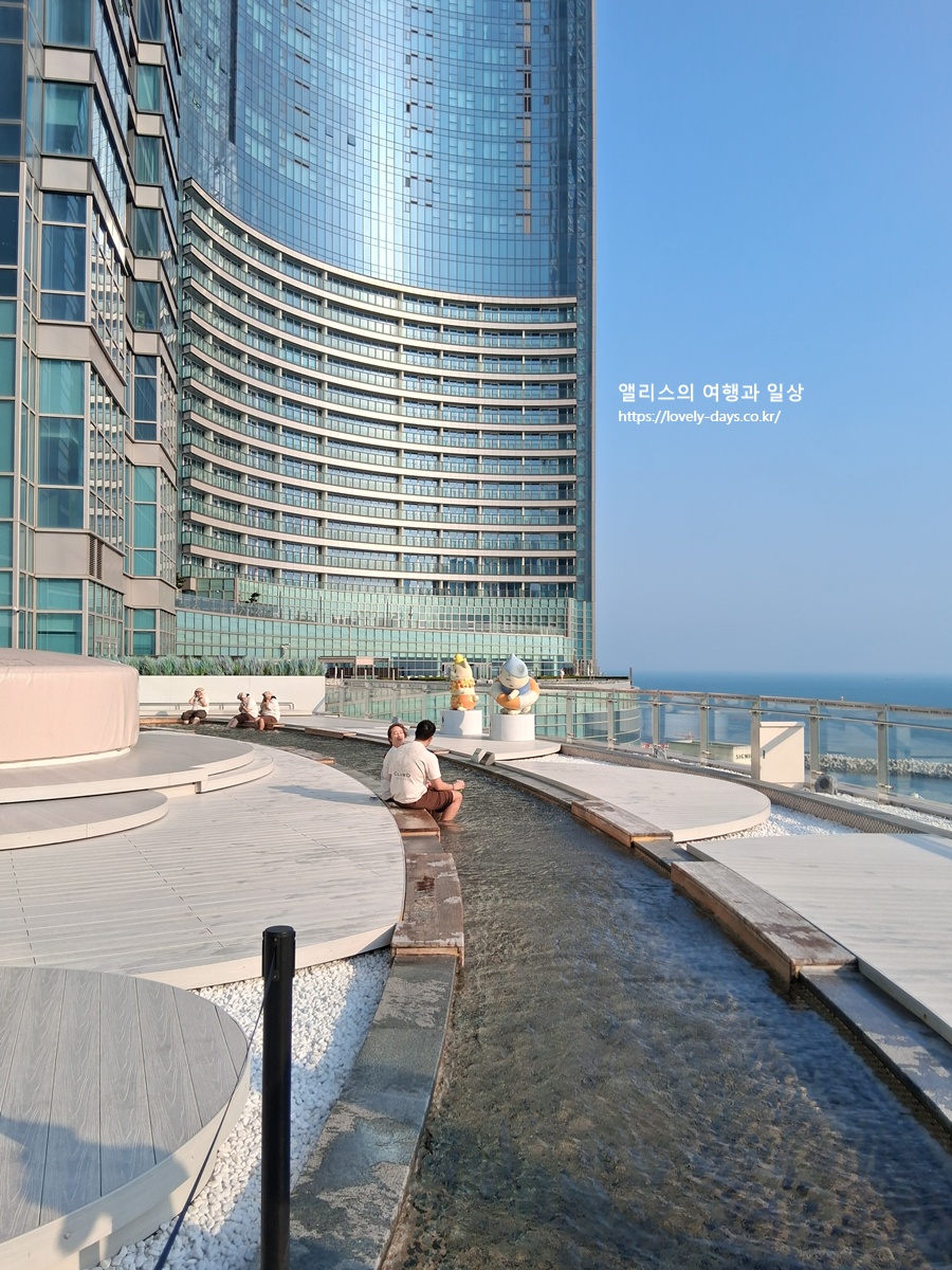 클럽디오아시스 겨울 가격 할인 청수당 준비 후기