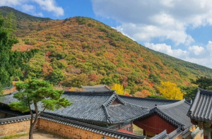 부처님오신날사찰