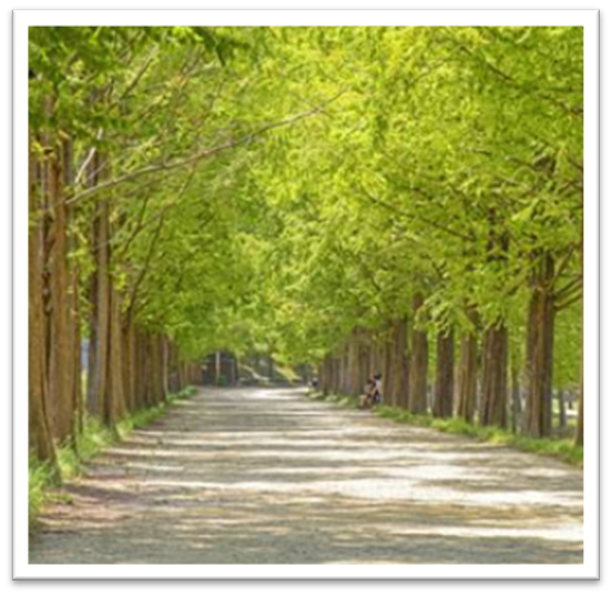 전라도 가을 여행지 추천4