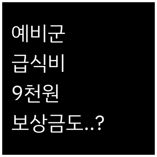 9000원 시대 열리는 예비군 급식과..