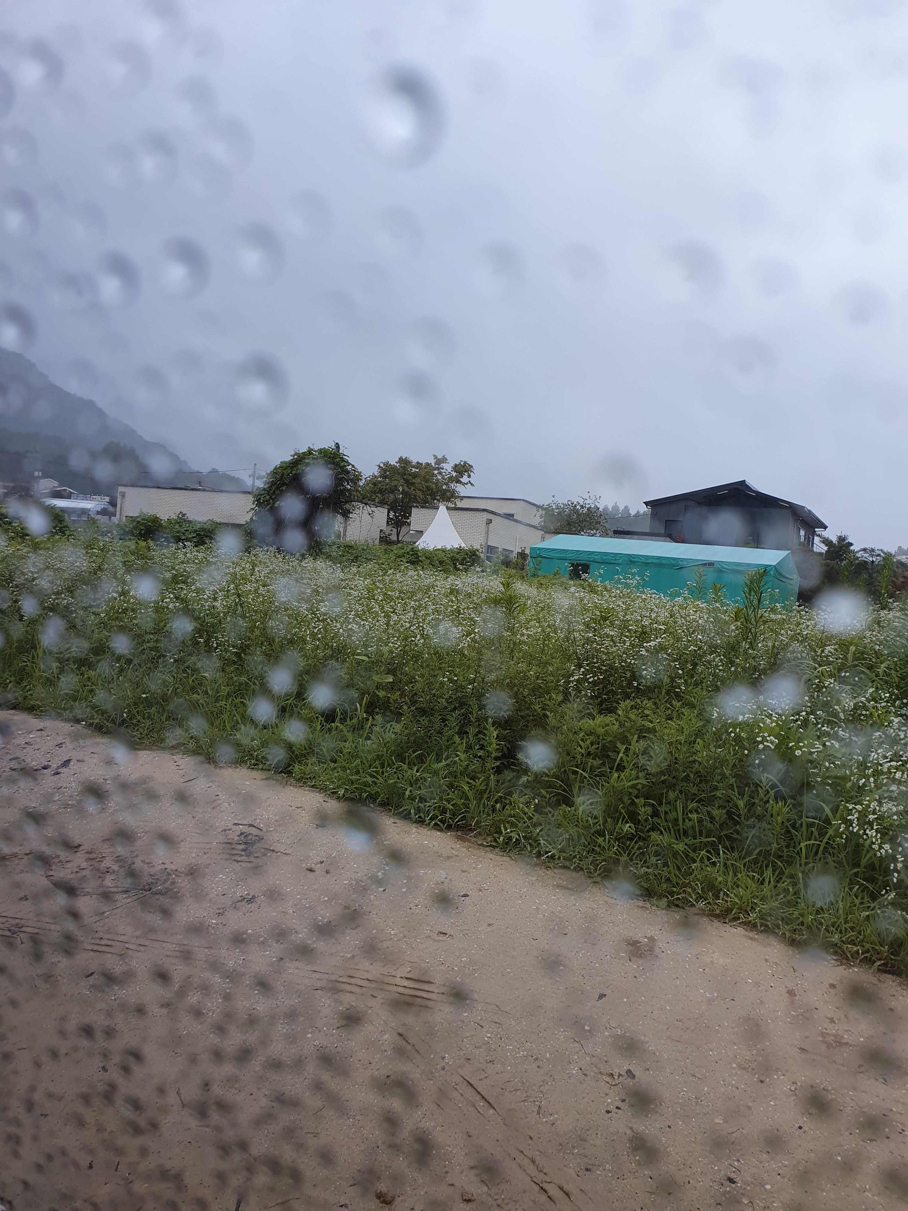 소소림 하얀벽돌로 만들어짐