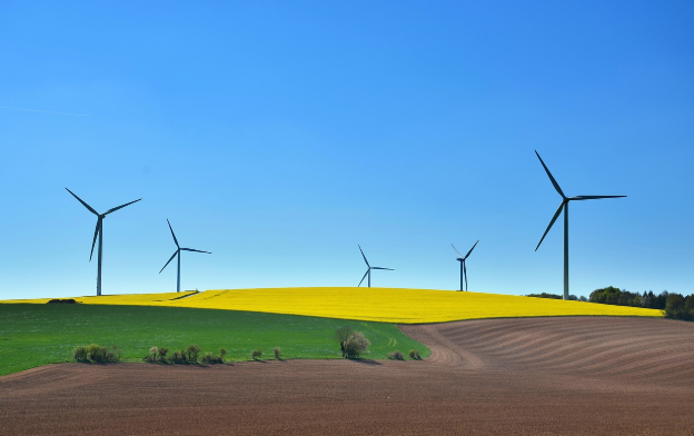 사회적 약자를 위한 일자리 창출 사례: 취약계층 고용, 배달사업 등 사회적 기업 모델 소개