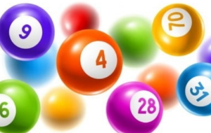 서울 로또 1등 배출 판매점, 2회 이상 1등 배출