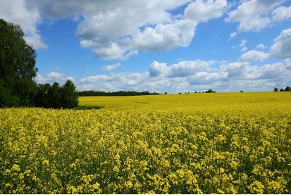 농지연금 지급방식 적용금리 및 지급정지사유