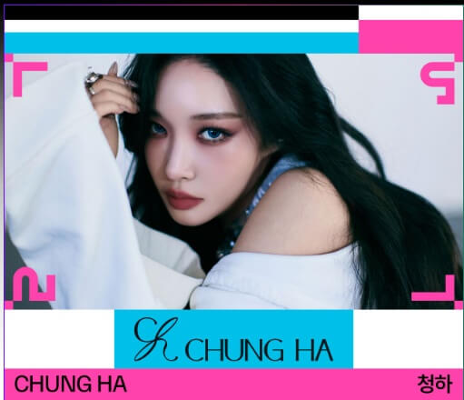 마이케이 페스타 사전예약