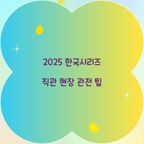 2025 한국시리즈 직관