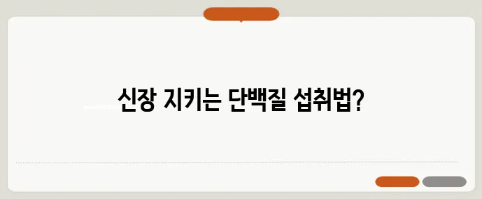 단백질 과다 섭취 신장 부담 줄이는 계산법 꼭 확인하세요
