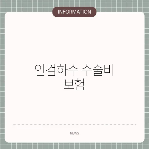 안검하수 수술비 보험