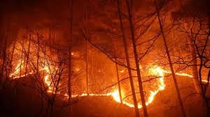 자연재해 재난 지원금 신청방법 