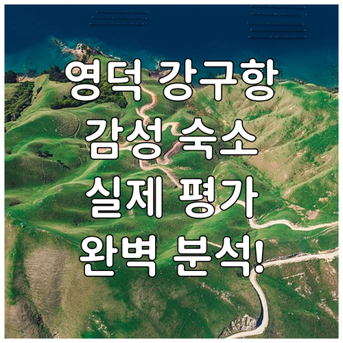영덕 여행 강구항 근처 깨끗한 숙소 ..