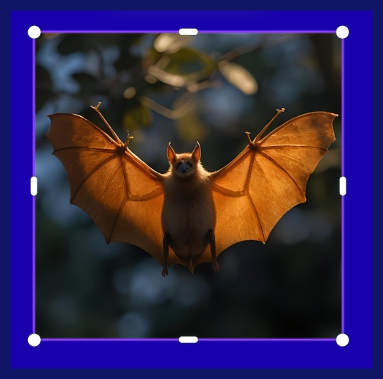 박쥐 날개 관절 가동 범위와 날개막 장력의 기능적 관계