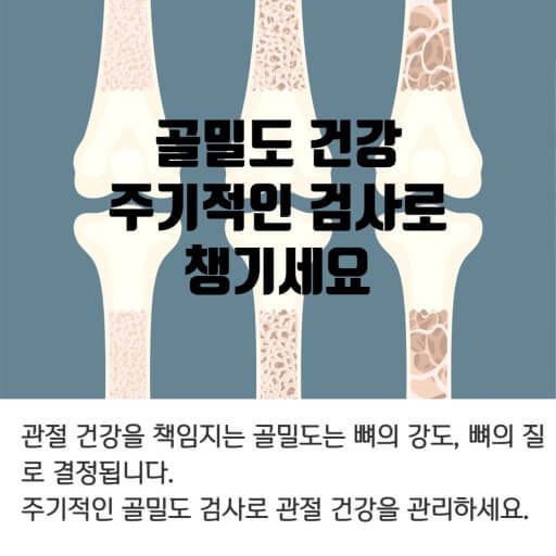 골다공증 치료