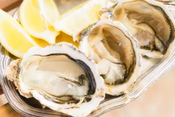 통영굴 직거래 가격, 효능 및 영양성분 부작용