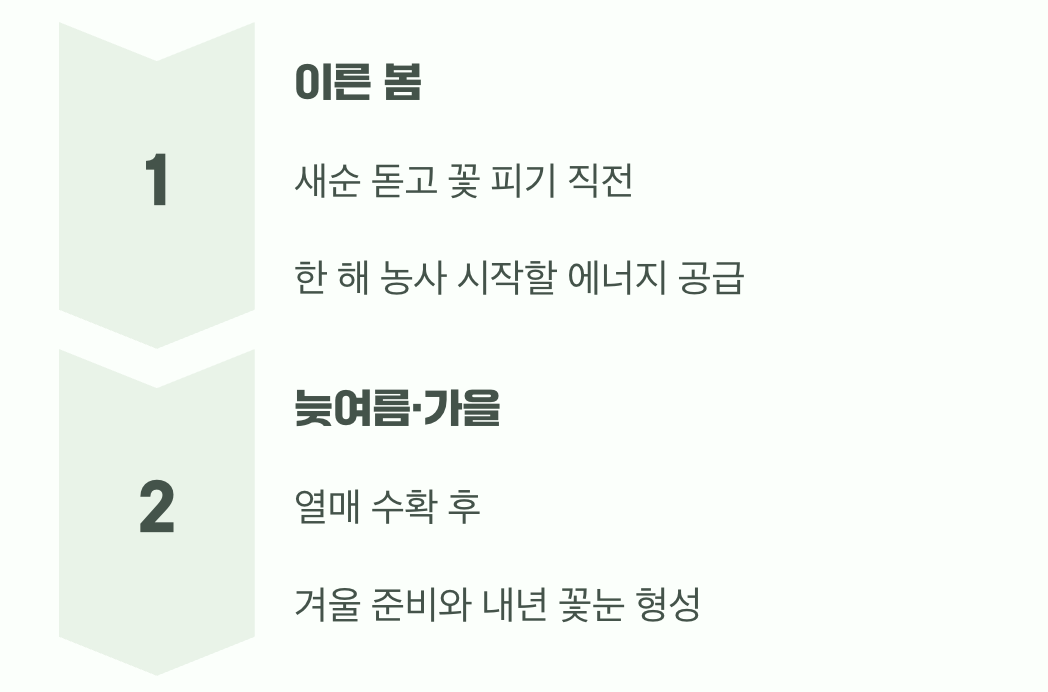 밥은 일 년 내내 주는 게 아니에요
