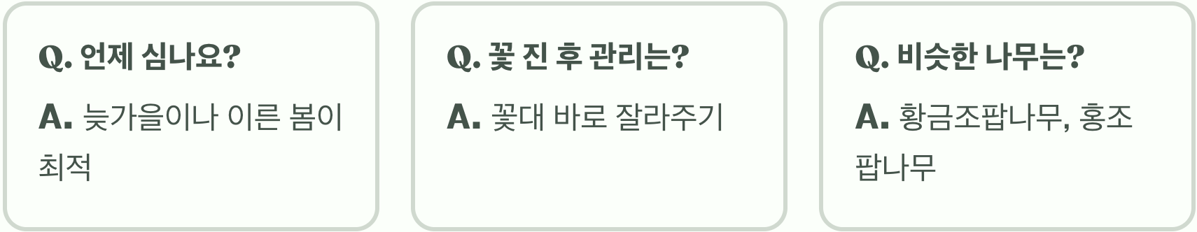 여름 정원의 보석, 꼬리조팝나무 키우기 A to Z