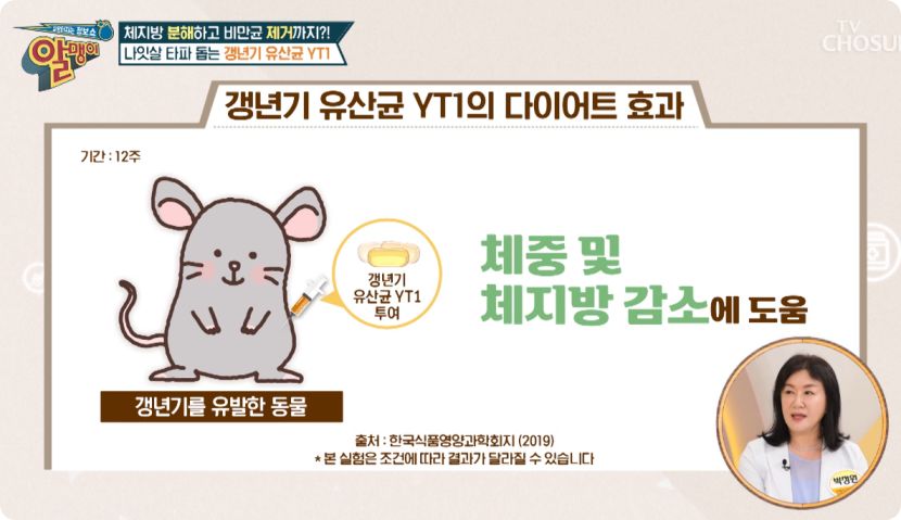 갱년기 유산균 yt1 알맹이 이시은출연