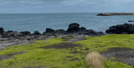 제주도 서쪽 여행코스