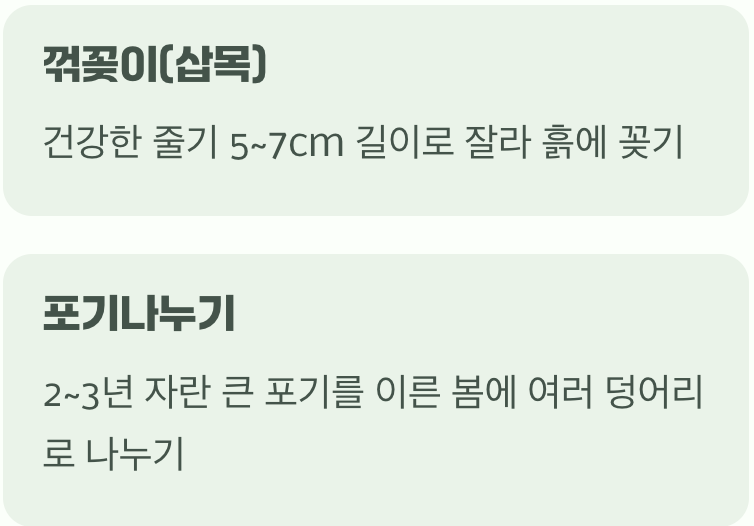 정원을 넓히는 즐거움, 꺾꽂이와 포기나누기