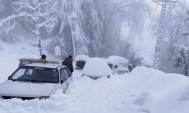 폭설 재난지원금 신청방법