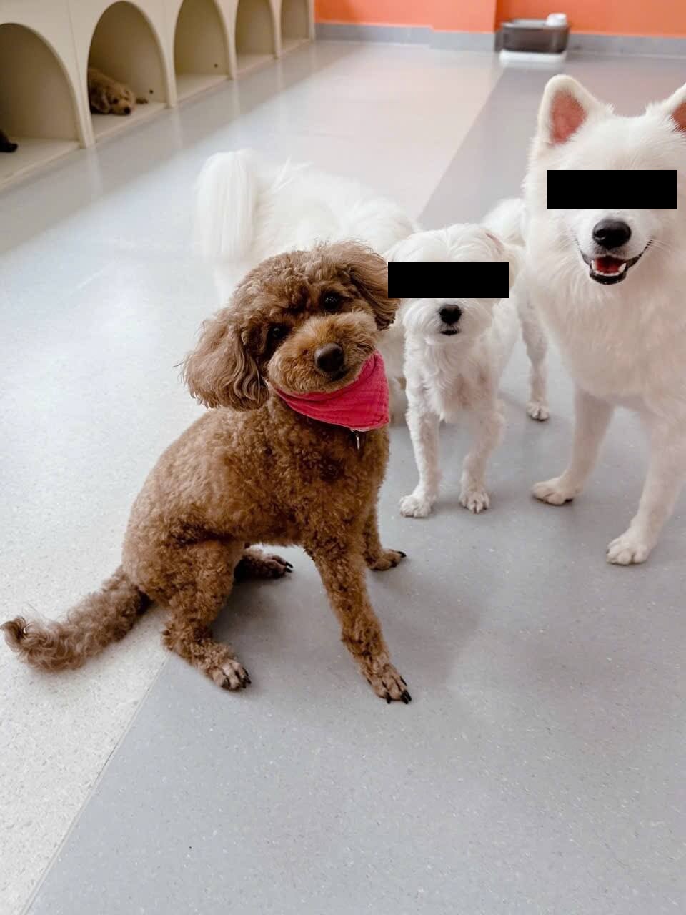 친구들