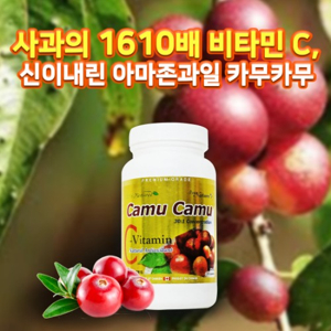 천연 비타민C
