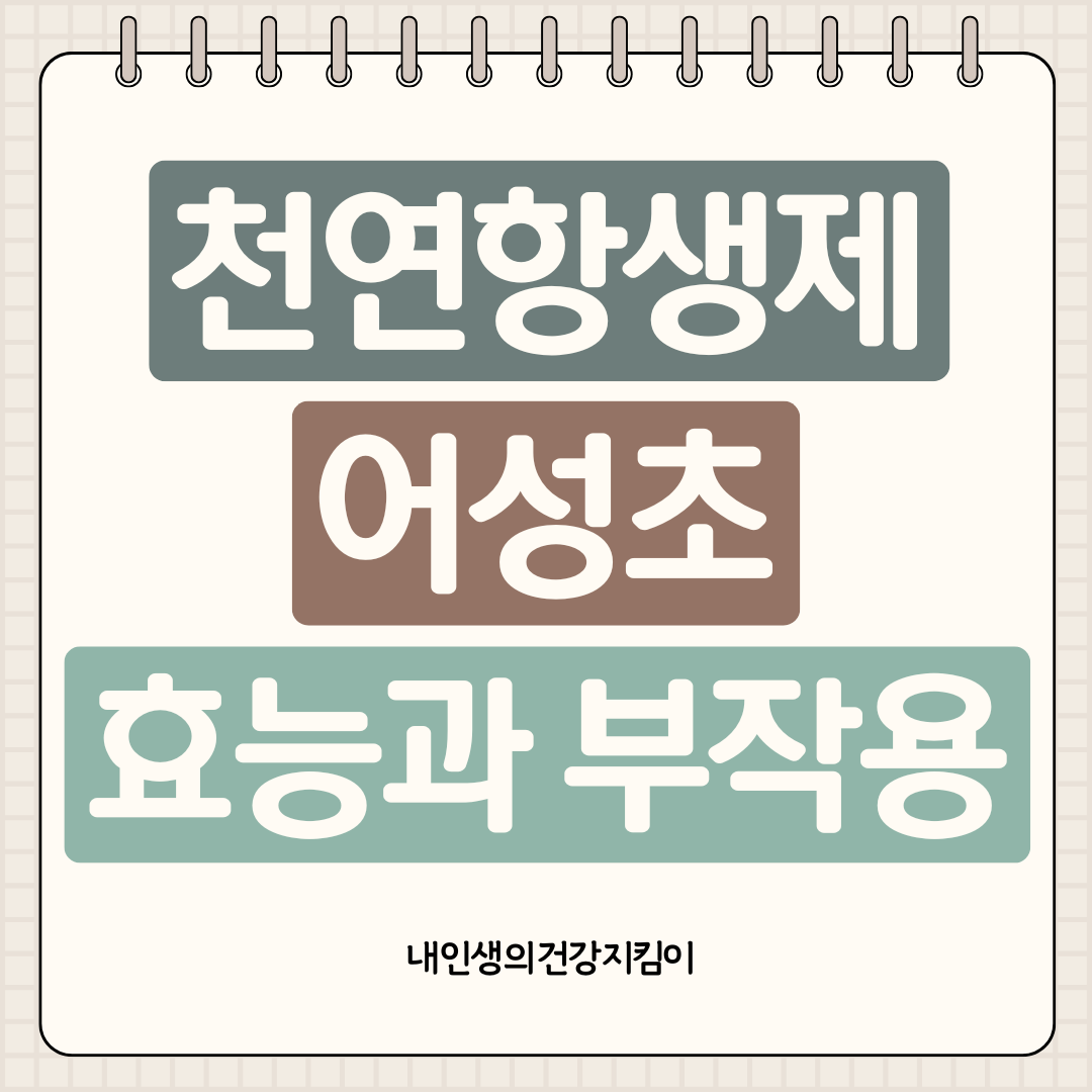 어성초 효능 8가지와 부작용